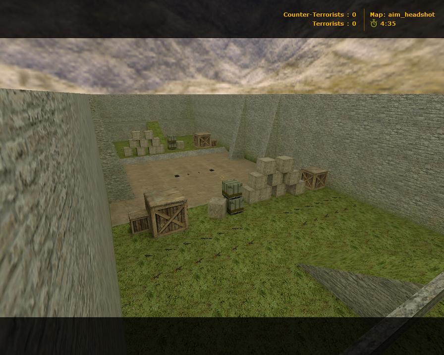 aim_headshot