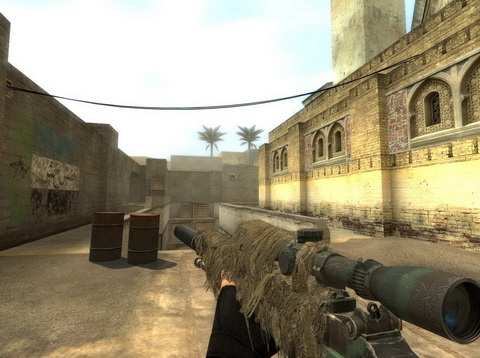 Sig 550 - CoD4_M21